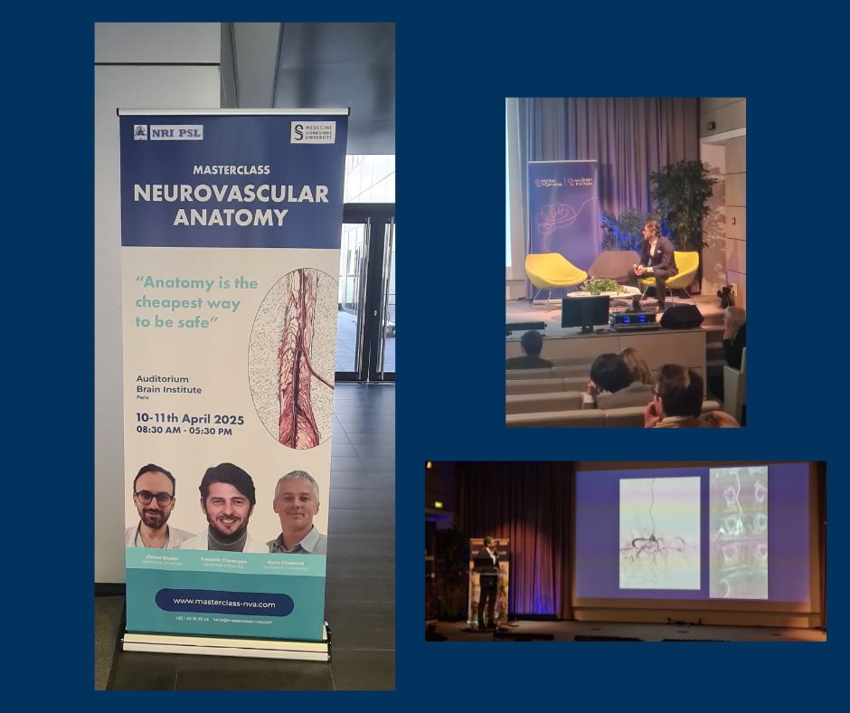 Masterclass d’anatomie vasculaire